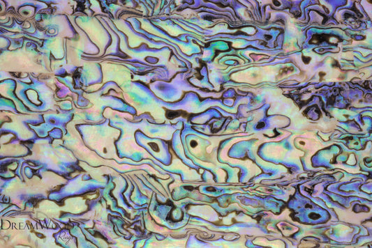 Abalone Shell Sheet | 3M Backing - DreamWood Rings Supplies