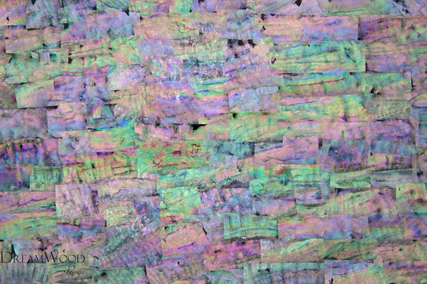 Korea White Paua Shell Sheet | 3M Backing - DreamWood Rings Supplies