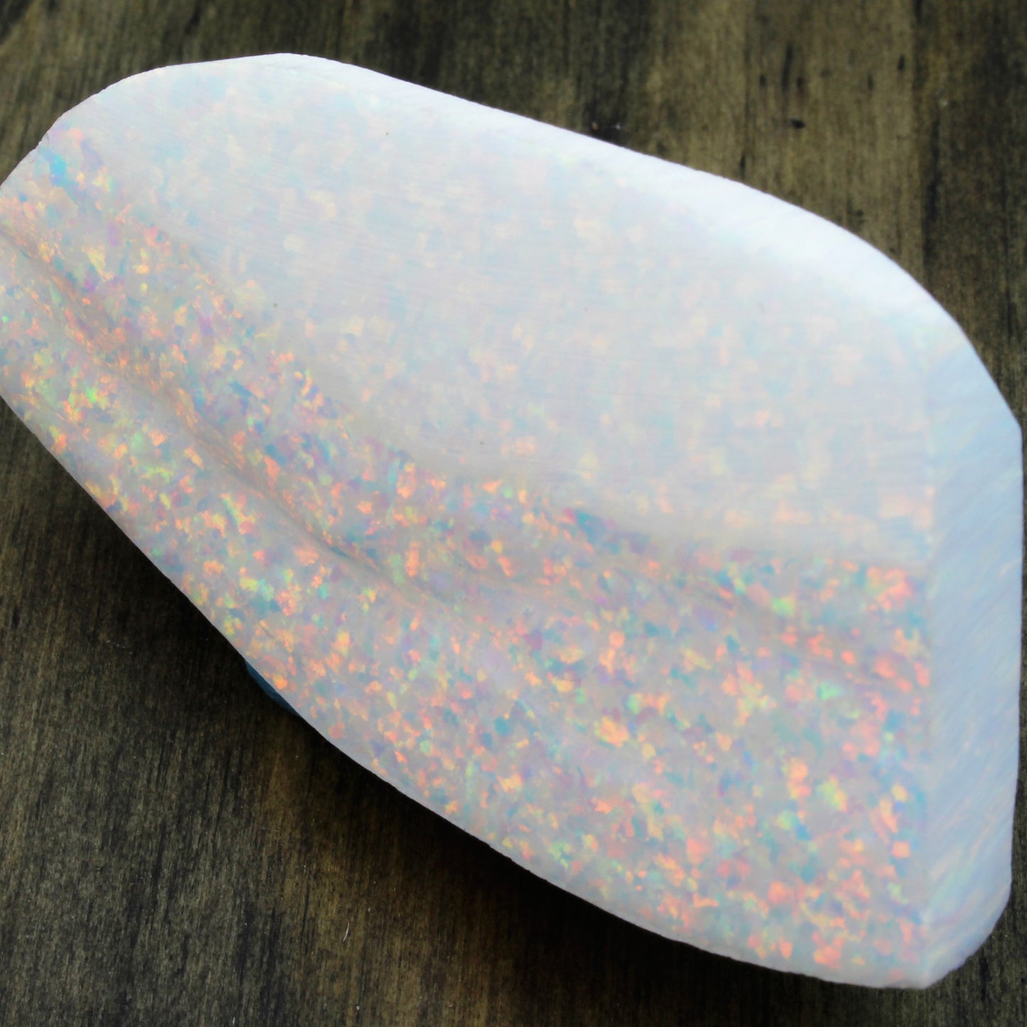 OP18 | kyocera Bello Opal - DreamWood Rings Supplies