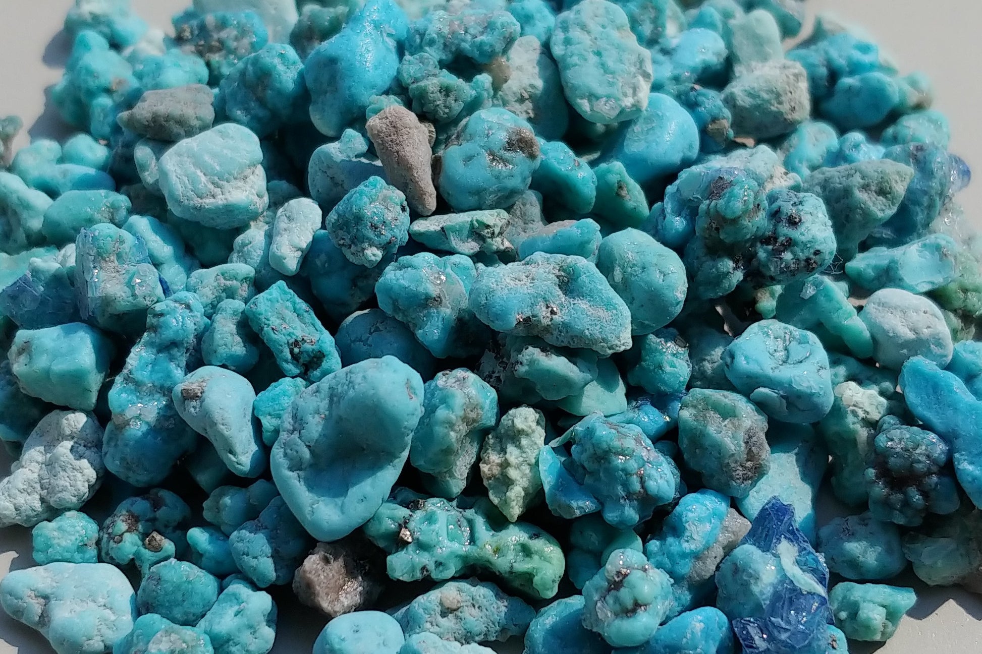 Genuine turquoise nuggets 1 oz | Copper Enhanced - DreamWood Rings Supplies