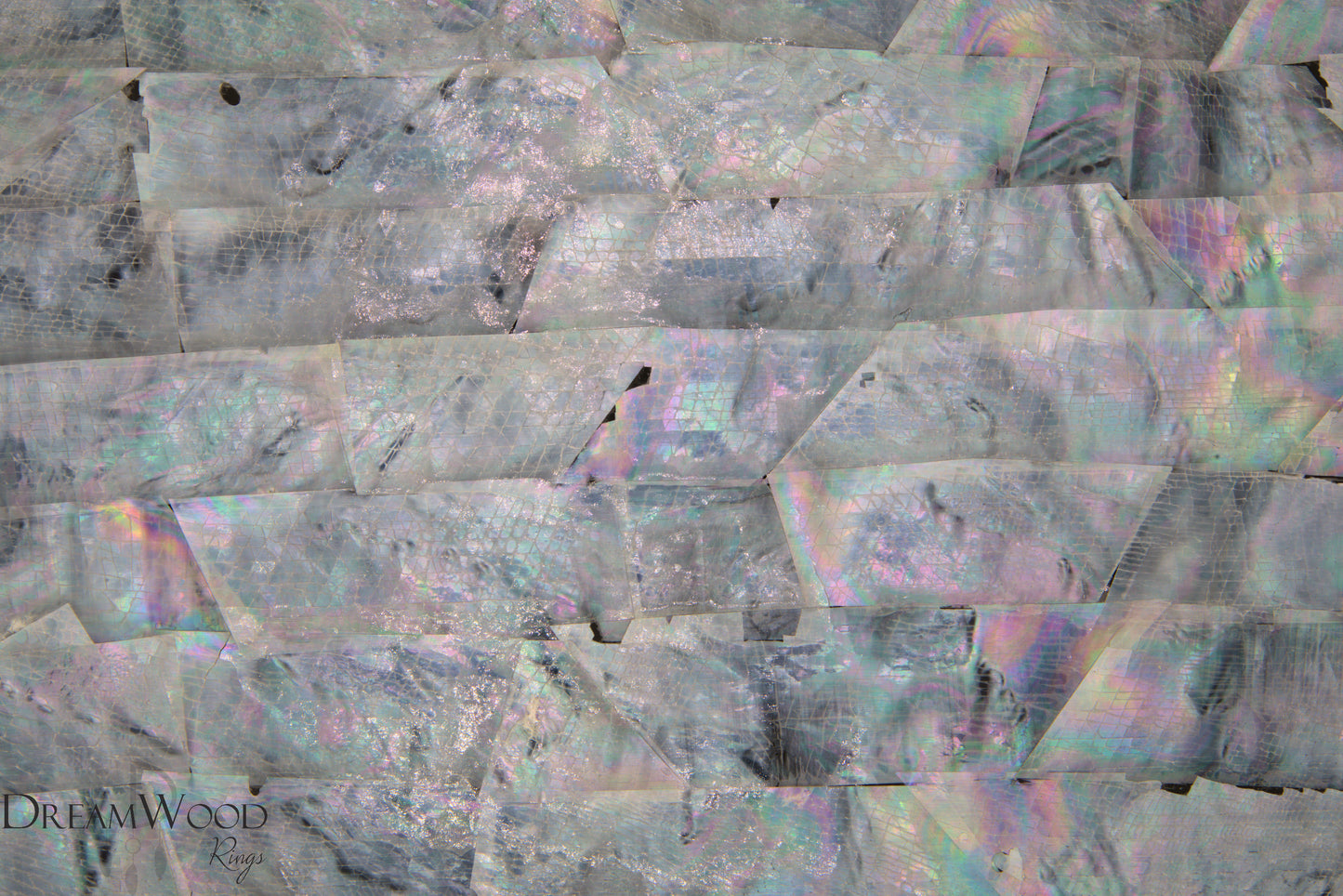 Black Backed Sea Shell Sheet | 3M Backing - DreamWood Rings Supplies