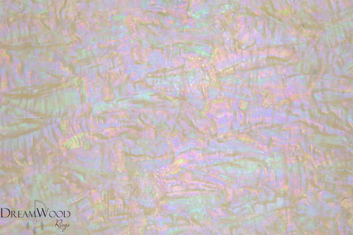 Bohai Bay Shell Sheet | 3M Backing - DreamWood Rings Supplies