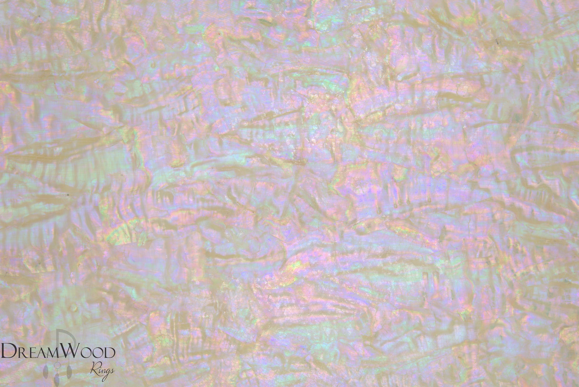 Bohai Bay Shell Sheet | 3M Backing - DreamWood Rings Supplies