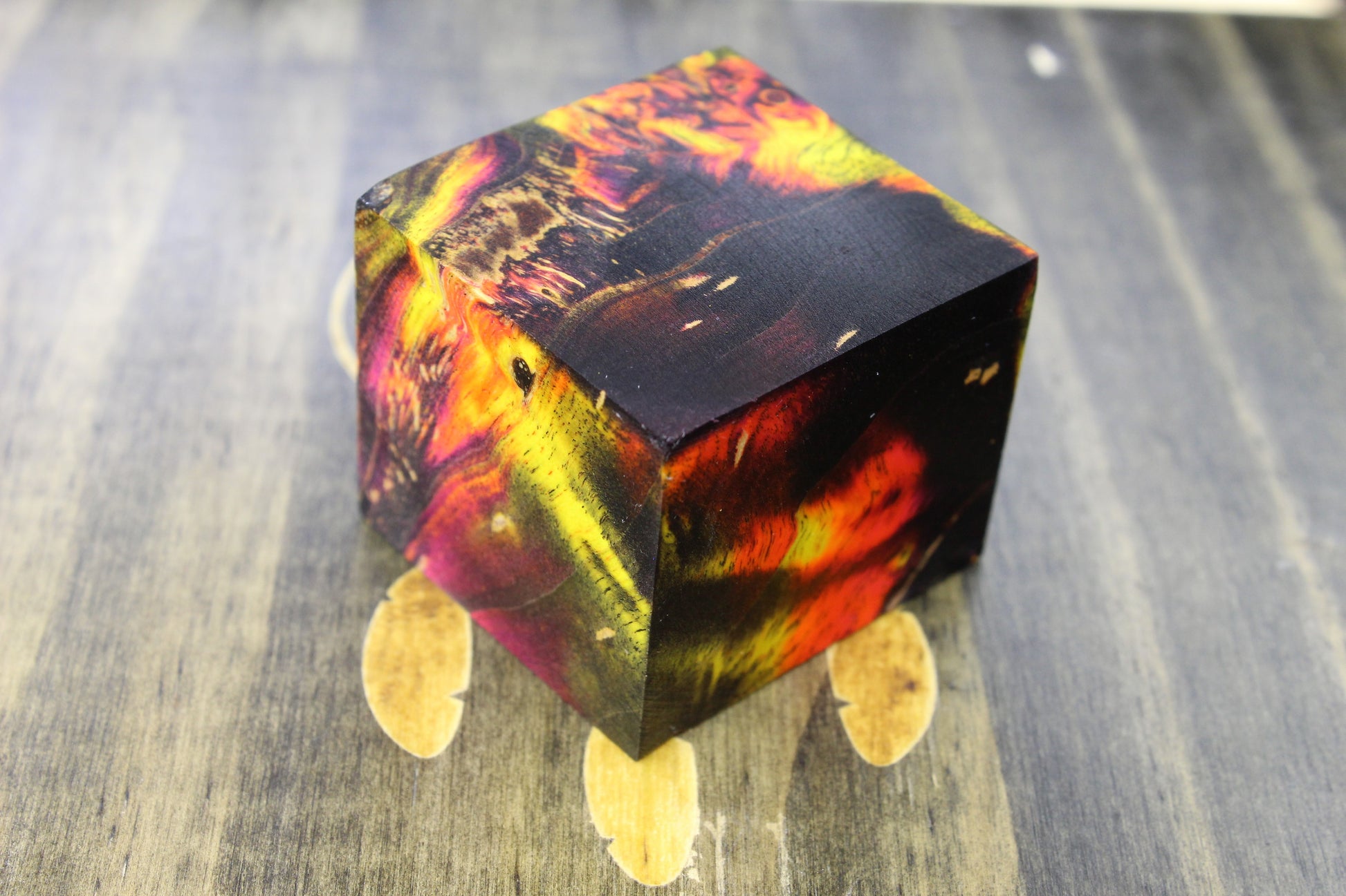 Box Elder Burl Ring Blank - DreamWood Rings Supplies