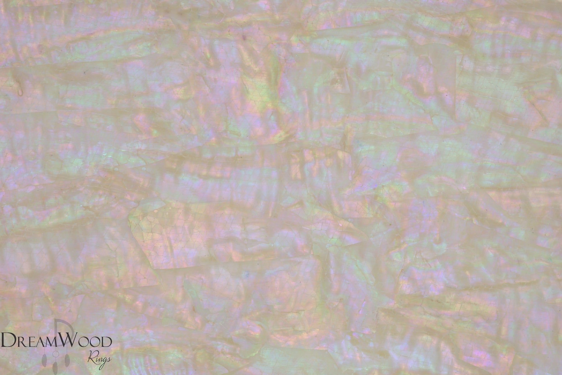 Bohai Bay Shell Sheet | 3M Backing - DreamWood Rings Supplies