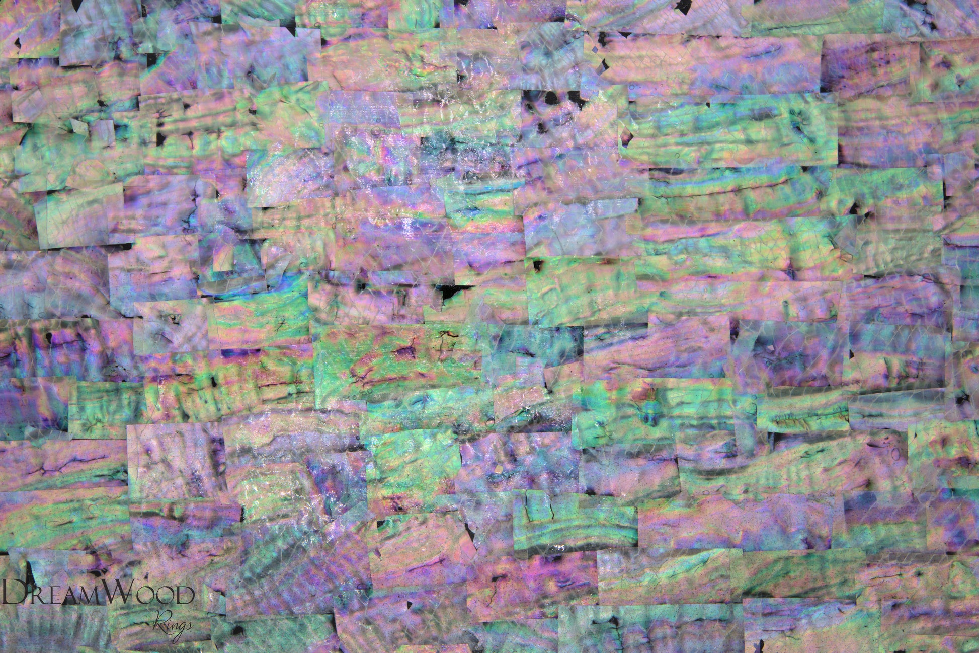 Korea White Paua Shell Sheet | 3M Backing - DreamWood Rings Supplies